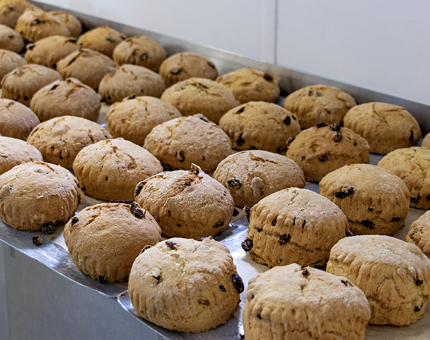 A tray of fruit scones that are straight out of the oven. 