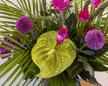 A large vase of flowers containing bright pink-purple blooms and green foliage.