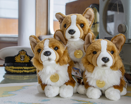 A trio of cuddly Corgi soft toys.