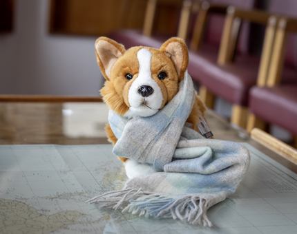 A cuddly Corgi dog toy wearing a pastel-coloured check scarf. 