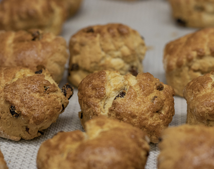 A tray of freshly baked fruit scones. 