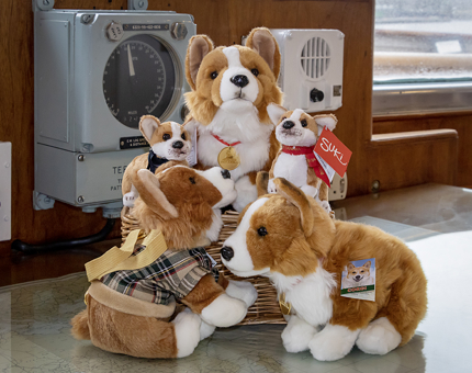 A collection of cuddly Corgi dog toys from the Gift Shop at The Royal Yacht Britannia.
