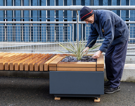 Man tends to wooden benching with inbuilt flower pots