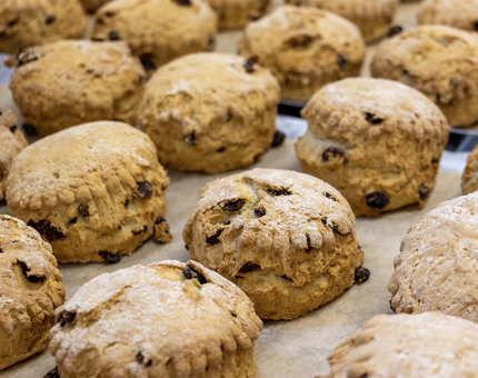 A tray of fruit scones. 