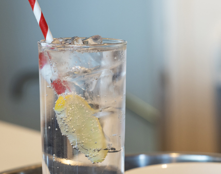 A talll glass containing a gin and tonic, red and white stripey straw and slice of lemon.