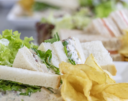 A plate containing chicken sandwiches, salad and crisps.