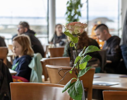 The Royal Deck Tearoom with guests sitting at tables. 