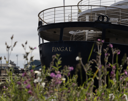 Flowers growing in a wildflower meadow, with the aft end of the hotel Fingal in the background