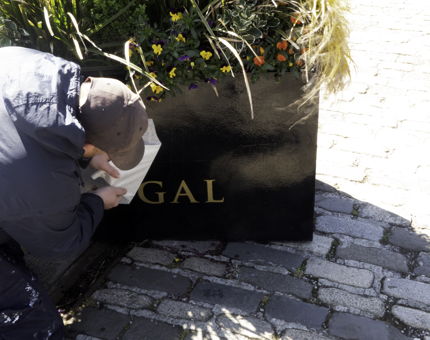 A member of the Maintenance team applying a Fingal transfer to a plant pot.