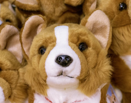 A close-up of a Cuddly Corgi toy dog. 