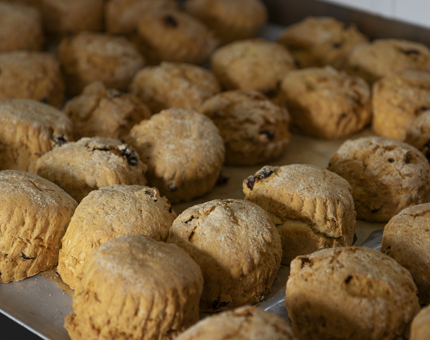A tray of freshly baked fruit scones. 