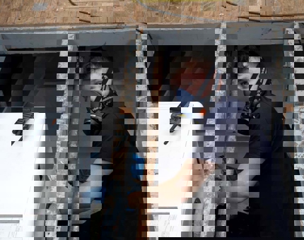 A man from the Maintenance team is painting on Royal Nore. 