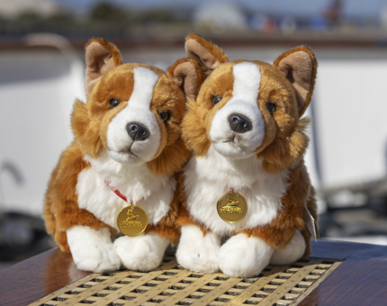 Two corgi plush toys. 