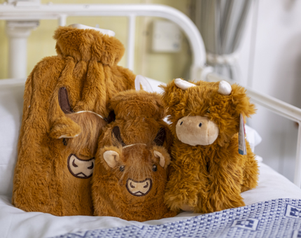 A Highland cow soft toy and a Highland cow hot water bottle. 