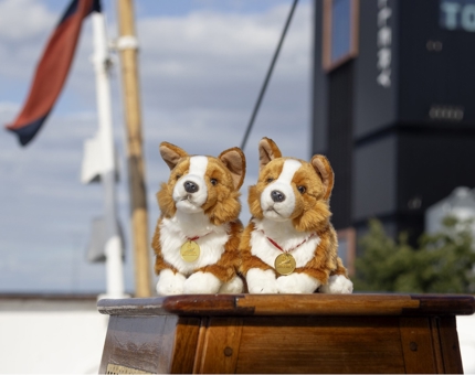 Two corgi soft toys. 
