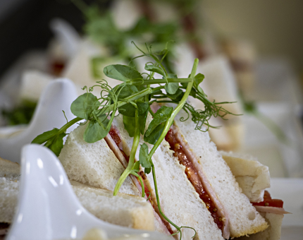 A ham and tomato sandwich with salad on a plate. 