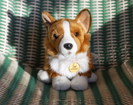 A corgi soft toy on a green and white striped chair. The sun is shining onto it. 