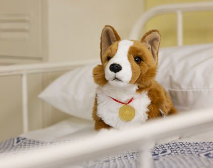 A corgi plush toy sitting on a bed in Britannia's sick bay. 