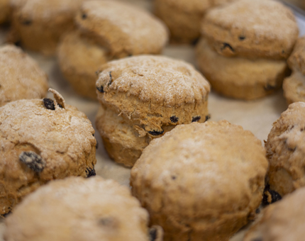 A tray of fruits scones fresh from the oven.