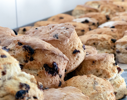 Freshly baked fruit scones