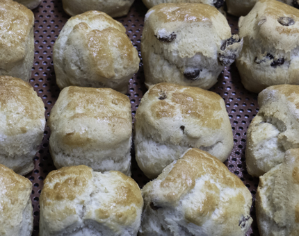 A tray of plain scones.