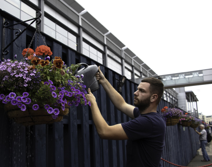 Watering a hanging basket