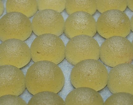 A tray of round lime jellies on a tray. 