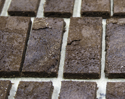 Close-up of slices of chocolate brownies on a tray.