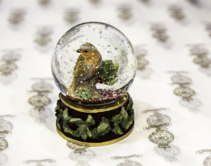 A robin festive snowglobe. 