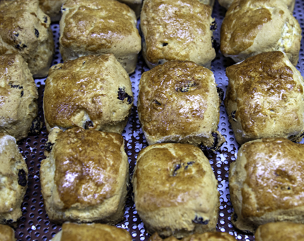 A tray of scones straight out of the oven. 