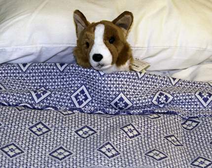 A cuddly corgi soft toy is tucked up in a bed. 