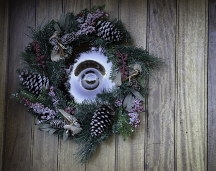 A Christmas wreath of fir, pinecones and berries decorating Fingal's front door. 