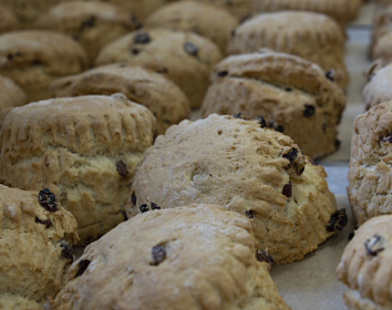 Close-up of a tray of freshly baked scones in the Galley. 