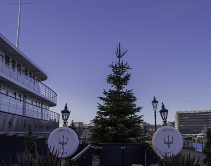 A tall Christmas tree outside Fingal.