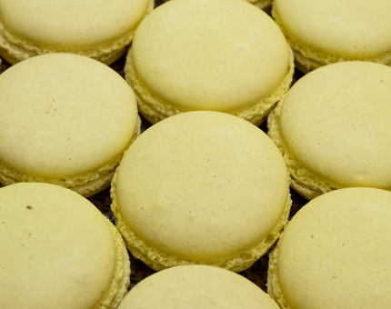 A close-up of pastel-coloured lemon macarons on a tray. 