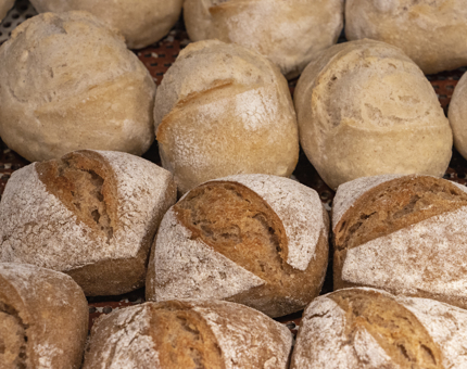 Freshly made bread rolls from the Galley.