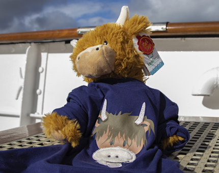 A cuddly Highland Cow soft toy wearing a children's blue top with a Highland Cow illustration on the front.