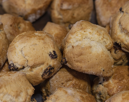 Freshly baked fruit scones. 
