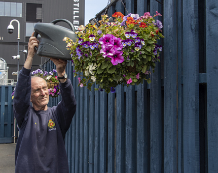 A member of the Facilities team watering the brightly coloured flowers in a hanging basket. 