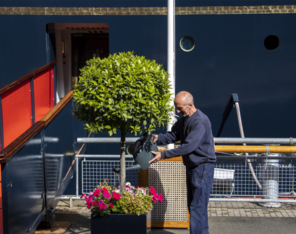 A man watering a planter filled with colourful flowers which is next to the office brow on the quayside at Britannia. 